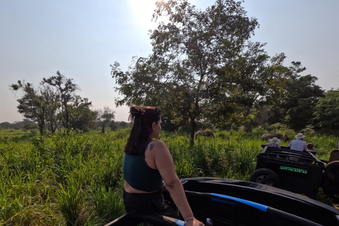 From Kandy: Sigiriya & Dambulla Day Tour with Safari