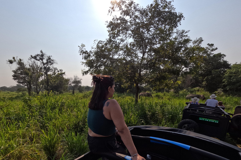 From Kandy: Sigiriya & Dambulla Day Tour with Safari