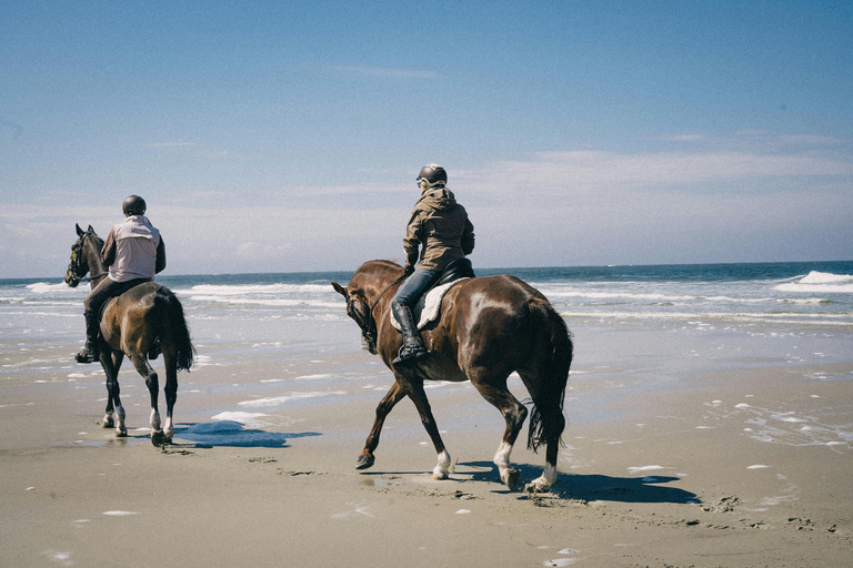 Montego Bay: 1-Hour Special Scenic Coastal Horseback Ride