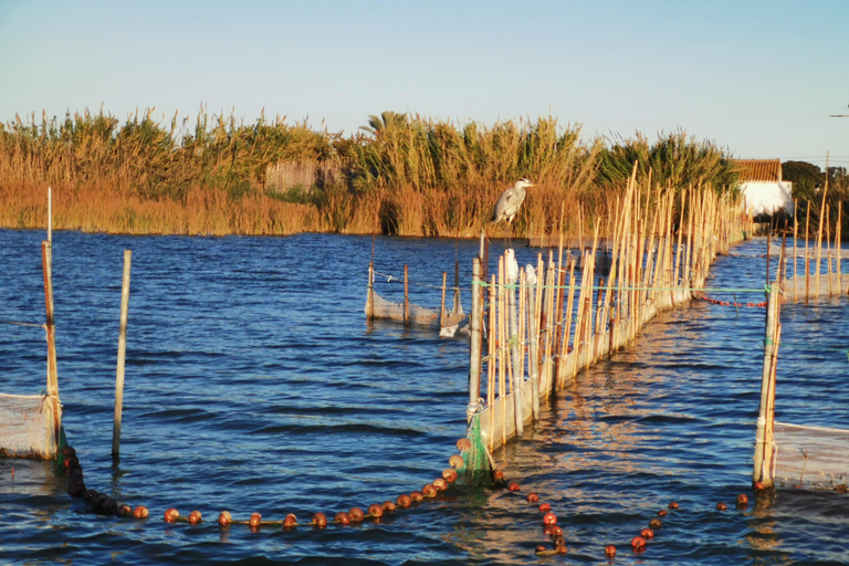Walencja: wycieczka z przewodnikiem po jeziorze Albufera i zwiedzanie barracWalencja: rejs wycieczkowy po Albufera o zachodzie słońca z przewodnikiem i zwiedzanie barrac