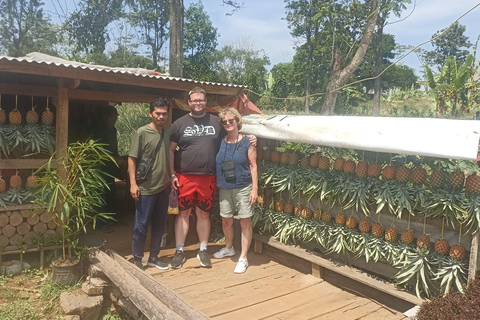 Jakarta : Visite de 3 jours avec Bandung et le parc Glorius miniature