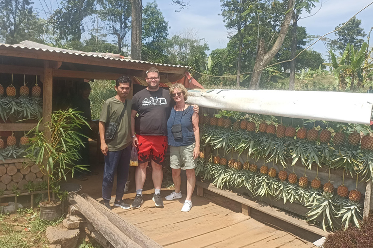 Jakarta : Visite de 3 jours avec Bandung et le parc Glorius miniature