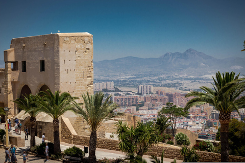 Alicante Shared Tour Old town, Elche & Huerto del Cura Grdns