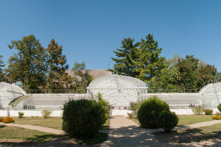 Bucharest: Mogosoaia Palace Official Entry Ticket