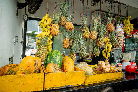 Punta Cana and Veron Tour