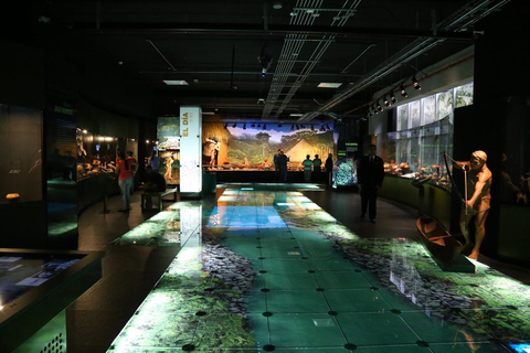 San Jose: Jade Museum & Pre-Columbian Culture Entry Ticket