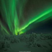 Äkäslompolo: Northern Lights Snowmobile Tour with Hot Drinks