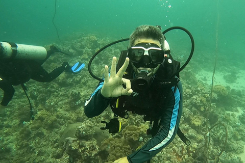 SSI Scuba Diver Course | Start Your Diving Journey