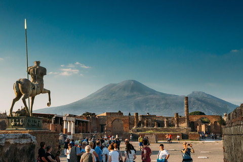 Pompei: Biglietto di ingresso prioritario e guida con itinerari