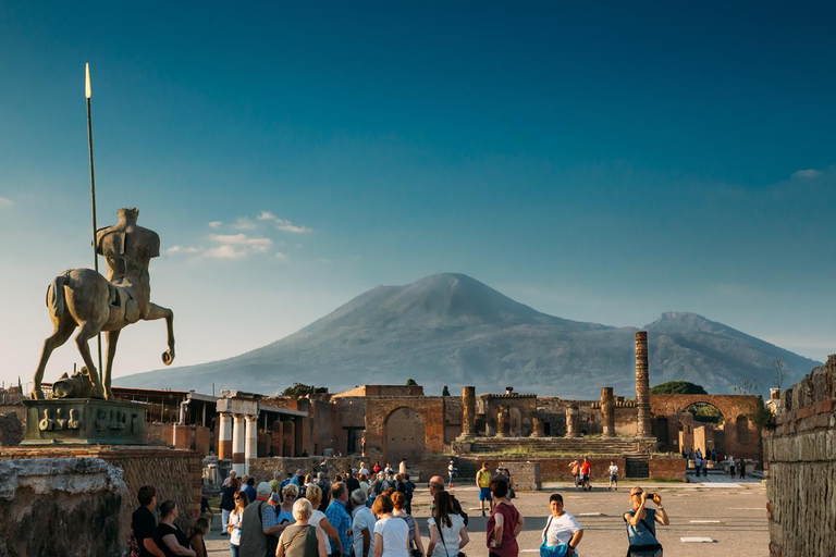 Pompeii: Skip-the-Line Ticket and Guidebook with Itineraries