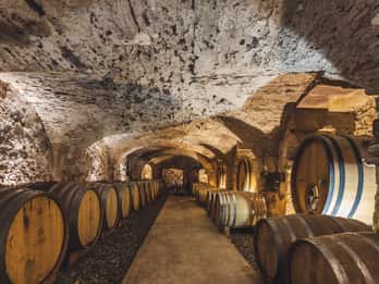 La Londe-les-Maures: Half-Day Wineries Tour with Tastings