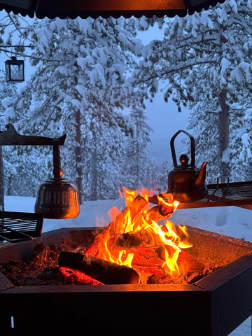 Rovaniemi: Mystical Lapland Forest Entry Ticket