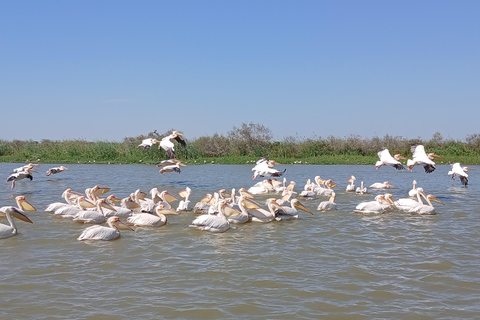 Djoudj Bird National Park Tour Djoudj Birds National Park Tour