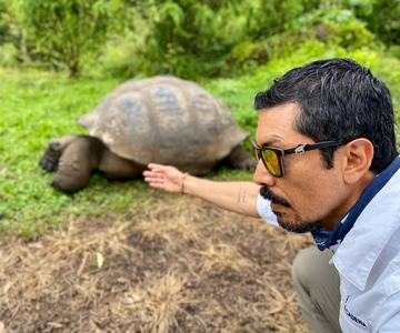 Puerto Ayora: The Galapagos Giant Tortoise Shared Experience