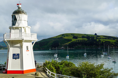 Christchurch: Akaroa & Alpaca Farm Tour with Lunch