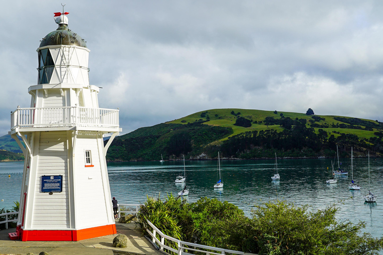 Christchurch: Akaroa & Alpaca Farm Tour with Lunch