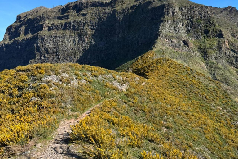 Madeira: Pico Grande Guided Hike with Mountain Views