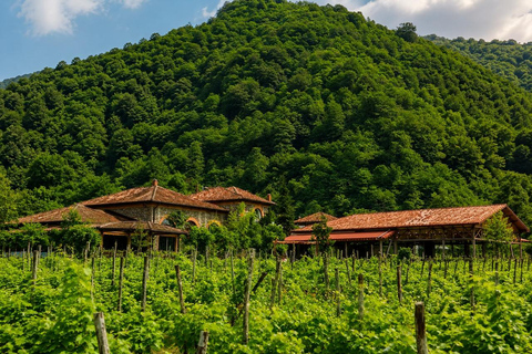 Adjara: Vineyard Tour with Wine Tasting and Lunch