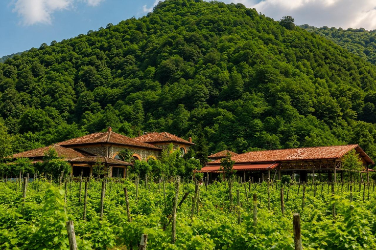 Adjara: Vineyard Tour with Wine Tasting and Lunch
