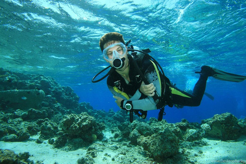 Fethiye: Scuba Diving Tour mit Tauchlehrer und Mittagessen