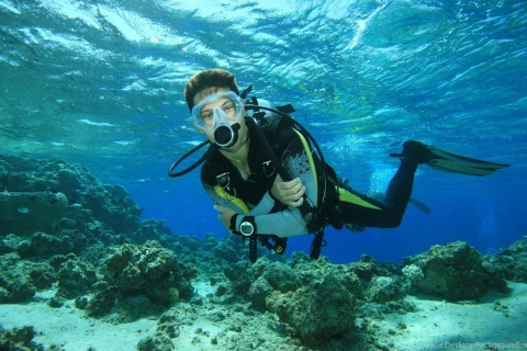 Alanya: Guided Scuba Diving Adventure With Boat And Lunch Scuba Diving Tour With Transfer From All Over Alanya