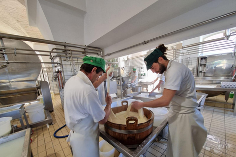 e-bike ring tour between Locorotondo and Martina Franca e-bike tour Locorotondo, Martina Franca and visit to a dairy