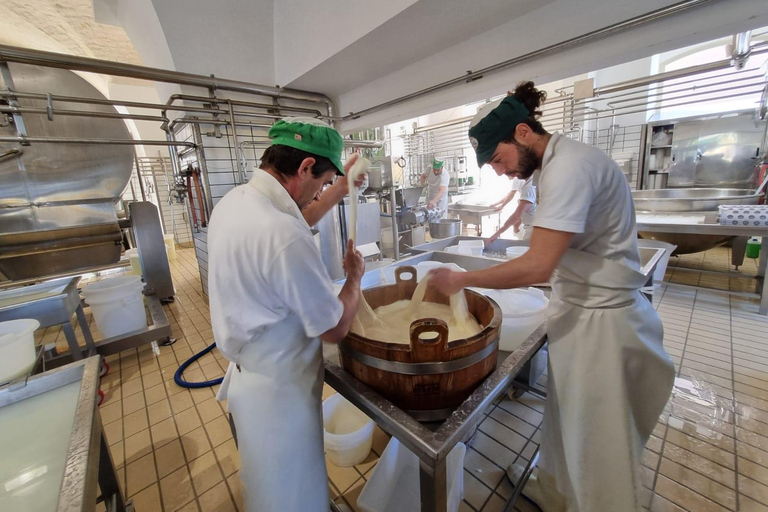 e-bike ring tour between Locorotondo and Martina Franca e-bike tour Locorotondo, Martina Franca and visit to a dairy