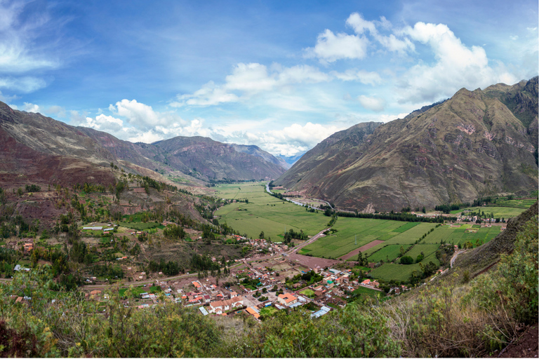 Cusco Coffee Tour: 1 Day Cloud Forest Experience Cusco Coffee Tour: 1-Day Cloud Forest Experience
