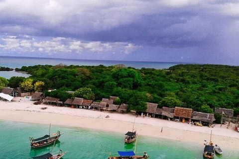 From Nungwi/Kendwa: Safari Blue Trip with Lunch & Sandbank