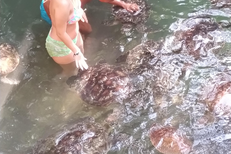Zanzíbar: Excursión con delfines y snorkel en la isla de MnembaBaraka Aquriam nadando con tortugas