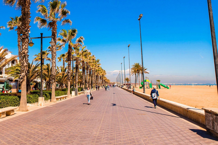 From Alicante: Valencia Full-Day Trip with Guided City Tour