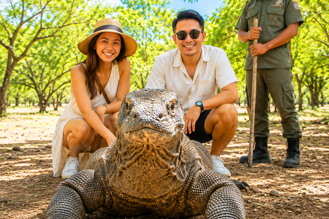 Labuan Bajo: Komodo Tour 11 Stops Rangko Cave & Night Market 2 Days 11 Stops Komodo Island + Rangko Cave + Night Market