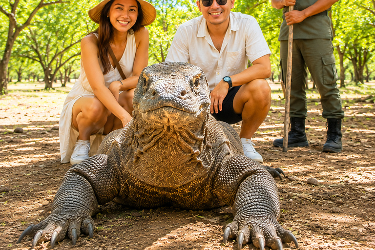 Labuan Bajo: Komodo Tour 11 Stops Rangko Cave & Night Market 2 Days 11 Stops Komodo Island + Rangko Cave + Night Market