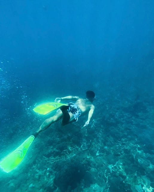 Snorkeling At Blue Lagoon And Tanjung Jepun With Lunch Getyourguide