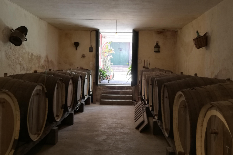 Gran Canaria: Hoogtepunten wijnproeverij &amp; excursie aan wal