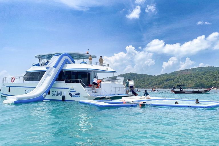 Koh Samui: Excursión en catamarán a motor con delfines y 3 islas