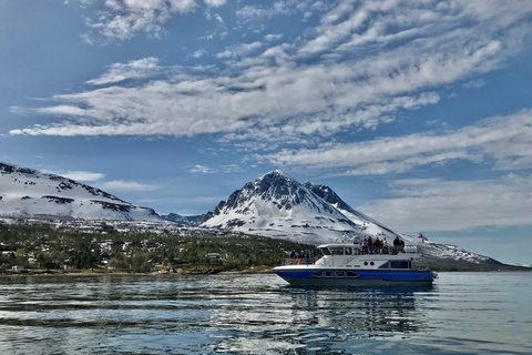 Tromsø: Summer Evening Cruise with Activities