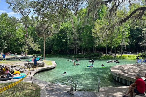 Depuis Orlando : Parc de Silver Springs et tour en bateau à fond de verre