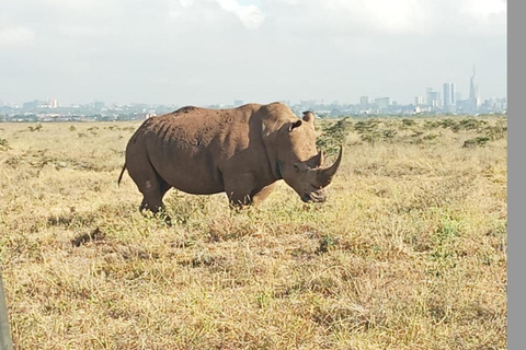 Airport: Nairobi National Park layover tour- pickup/drop-off