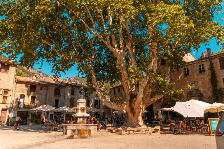 From Montpellier: Private Tour to Great UNESCO Sites + Extra Village From Montpellier: Private Tour of Major UNESCO Sites + Extra Village
