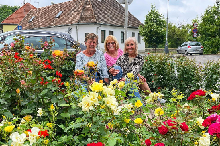 Dagsutflykt till Szentendre (Unescos världsarv)