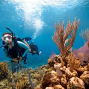 Da Nang/Hoi An: Cham Island Snorkeling and Scuba Diving Da Nang/Hoi An: Cham Island Snorkeling and Scuba Diving