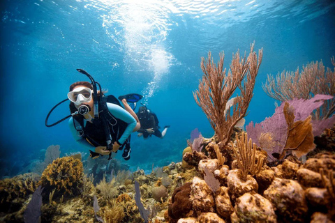 Da Nang/Hoi An: Cham Island Snorkeling and Scuba Diving