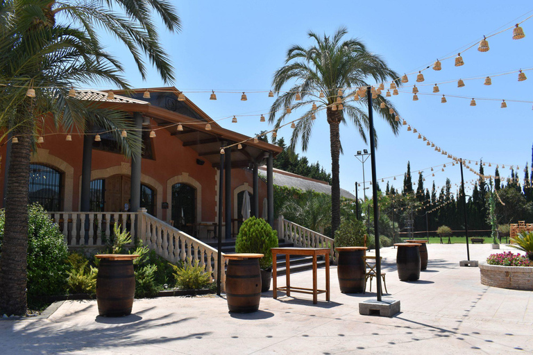 Santa Pola, Gran Alacan, Urbanova: Guided Wine Tasting Tour