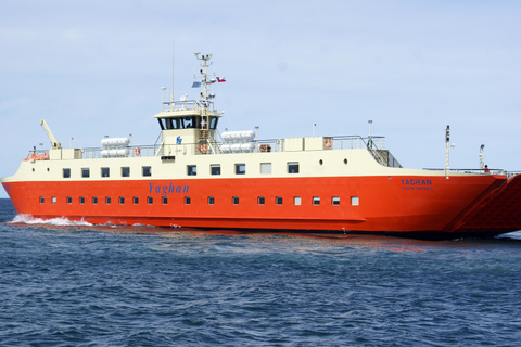 Punta Arenas: Ilha Magdalena - Passeio com pinguins e farol