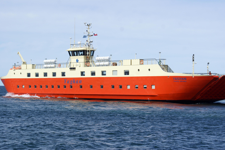 Punta Arenas: Ilha Magdalena - Passeio com pinguins e farol