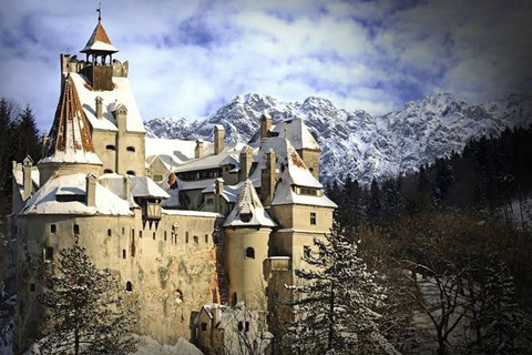 Bucharest: Peles Castle, Bran Castle & Brasov 1-Day Trip