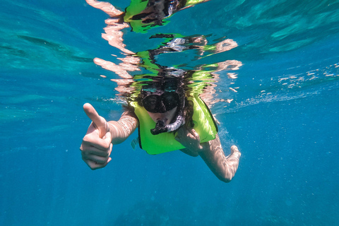 Fare snorkeling sull&#039;Isola di Catalina da Punta Cana