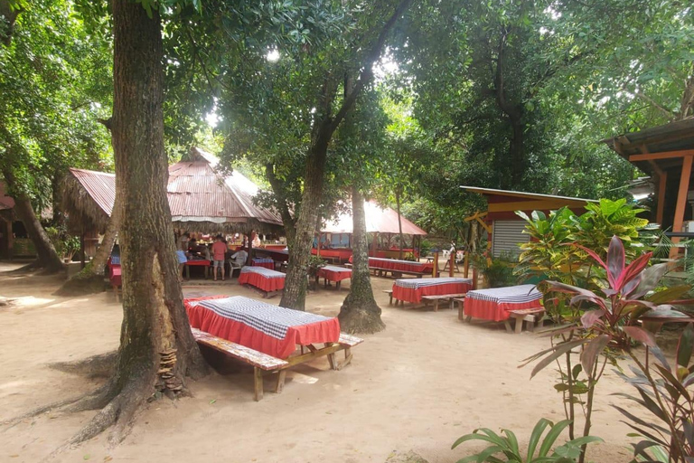 Puerto Plata: Samana, Bacardi Island, and Los Haitises Tour