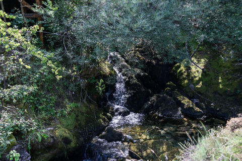 Excursión a la ciudad de Struga y Vevchani independiente desde Ohrid